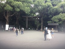Harajuku et temple Meiji-jingu