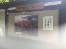Jardins du temple Tenryu-ji